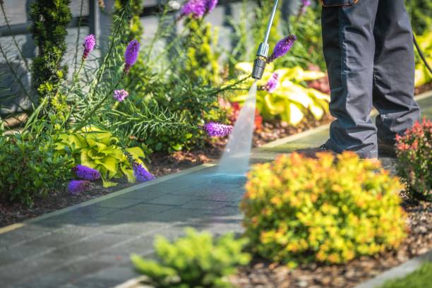 Best Machinery and Equipment Cleaning  in Woodbine, NJ