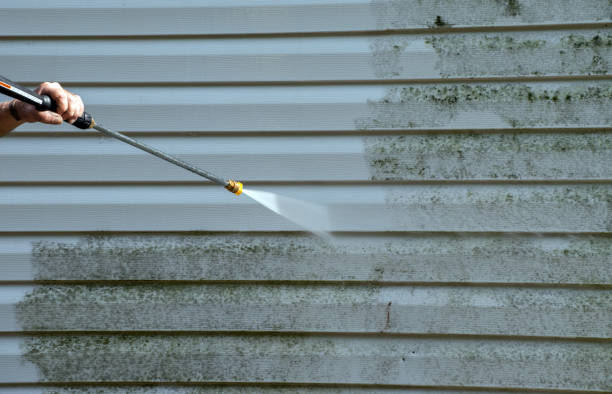 Best Driveway Pressure Washing  in Woodbine, NJ